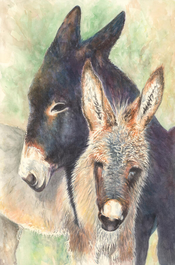 Mama with Baby Burro Mama with Baby Burro
