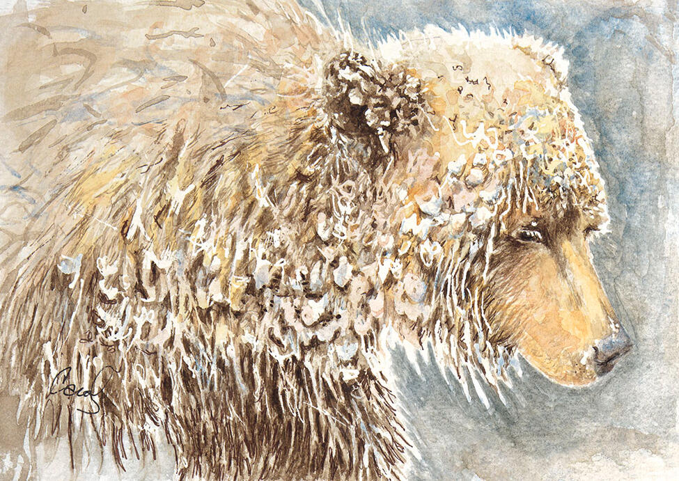 Snow Bear Snow Bear