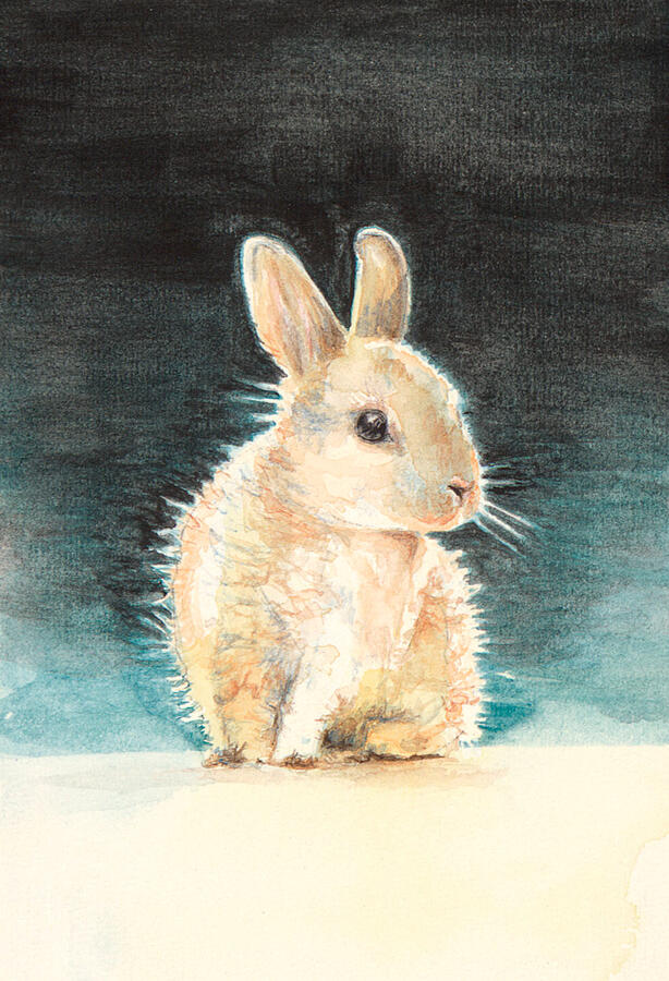 Rabbit Rabbit