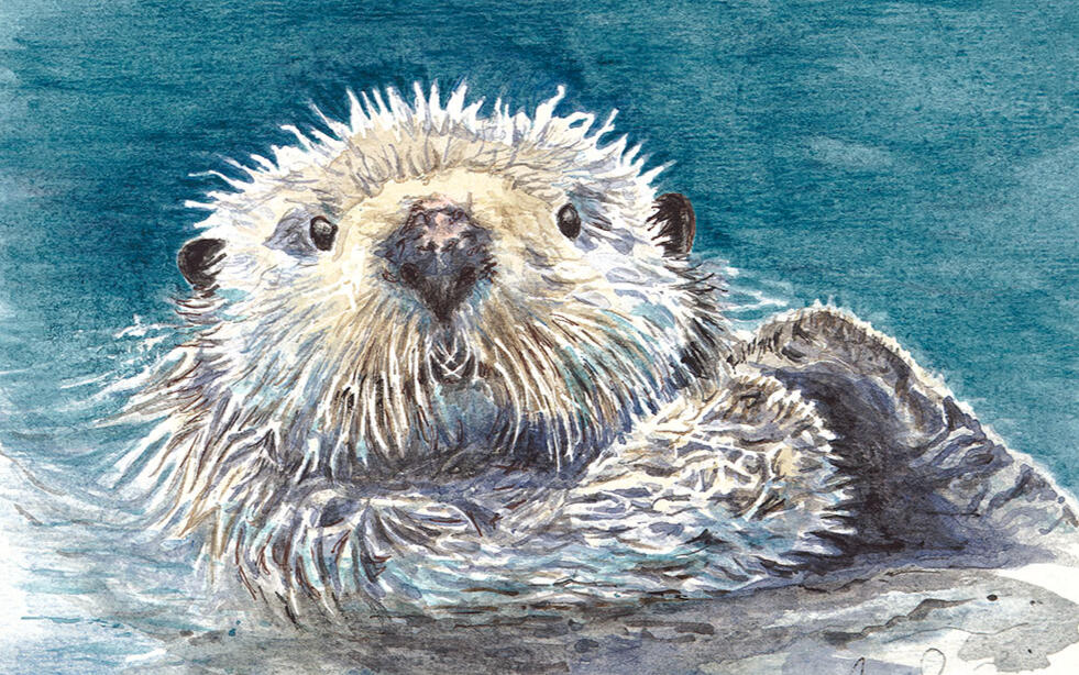 River Otter River Otter