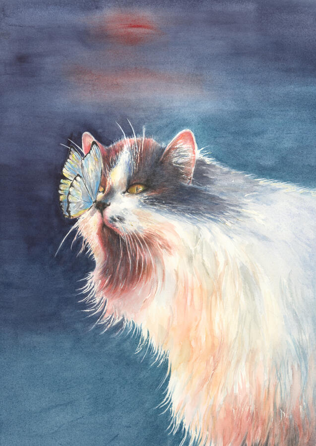 Paridise Fire Rescue