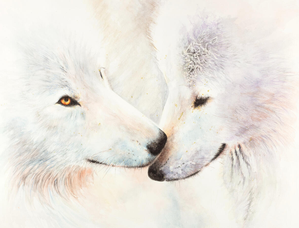 Two Wolves Two Wolves